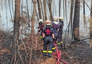 Incendies dans le Sud-Ouest : 20 nouveaux pompiers de l'Eure prennent la relève dans les Landes