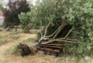 Tempête Austen : trois blessés dans l’Eure et la Seine-Maritime, des restrictions levées sur les routes Tempête Austen : trois blessés dans l’Eure et la Seine-Maritime, des restrictions levées sur les routes