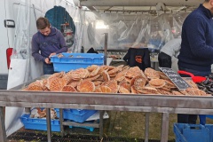 Foire aux harengs à Dieppe (7)
