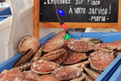 Foire aux harengs à Dieppe (8)