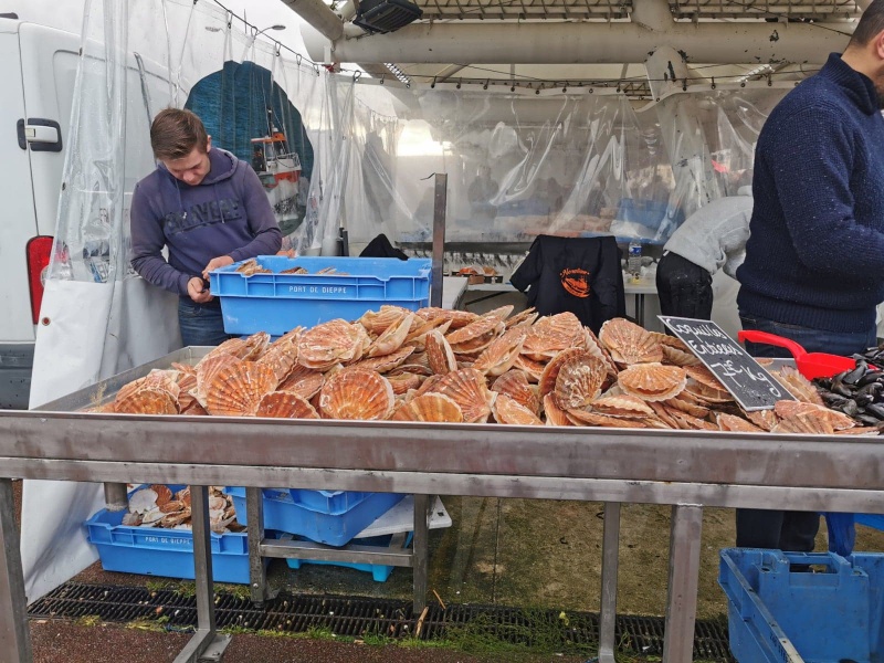 Foire aux harengs à Dieppe (7)
