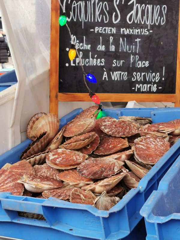Foire aux harengs à Dieppe (8)