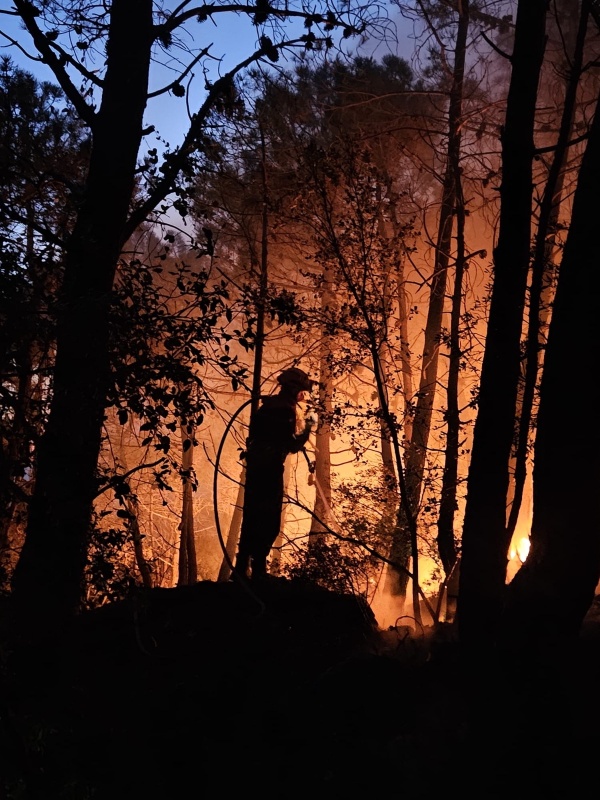 Intégrés à la colonne Normandie, 24 sapeurs-pompiers de l'Eure  en renfort dans le Sud de la France 