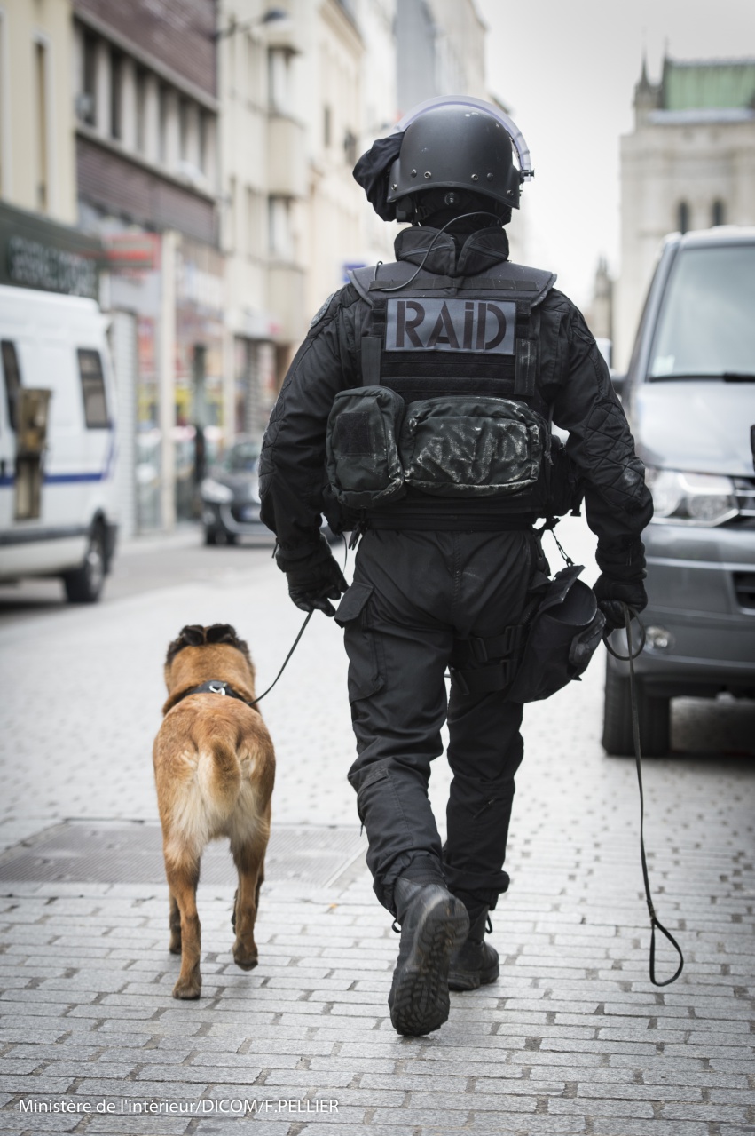 2015MINT0783_099_PLR0677 2015MINT0783_099_PLR0677